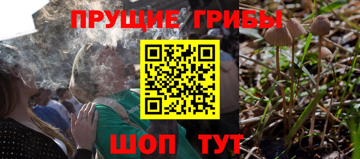 Галлюциногенные грибы ЛСД Ачхой-Мартан