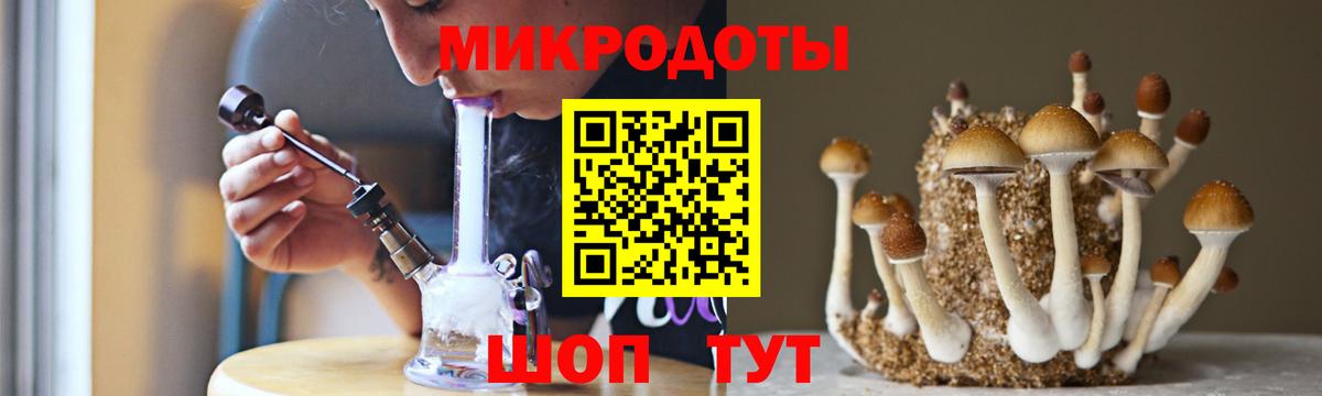 Ачхой-Мартан  где купить   Вход с VPN  Галлюциногенные грибы Magic Shrooms 
